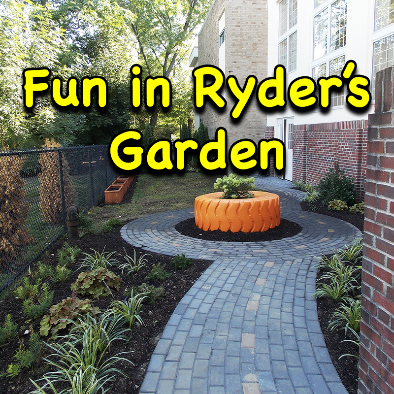 Fun in Ryder’s Garden