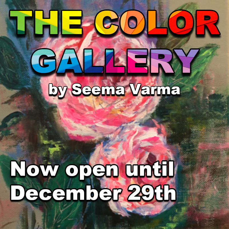 “The Color Gallery” by Seema Varma